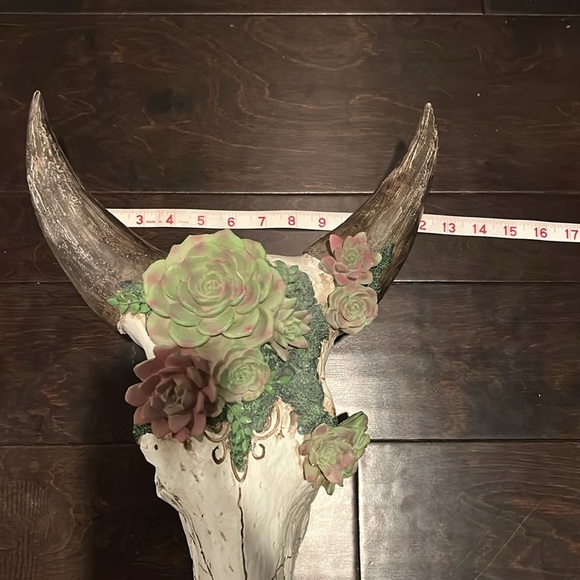 Resin skull and succulents 18” EUC - Picture 7 of 9